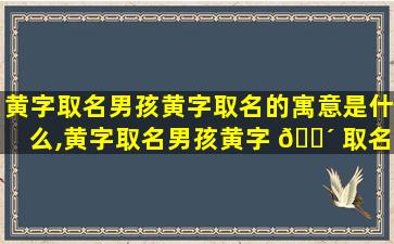 黄字取名男孩黄字取名的寓意是什么,黄字取名男孩黄字 🌴 取名的寓意是什么意思